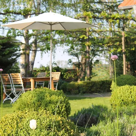 Luxurious With Trampoline In * Saal